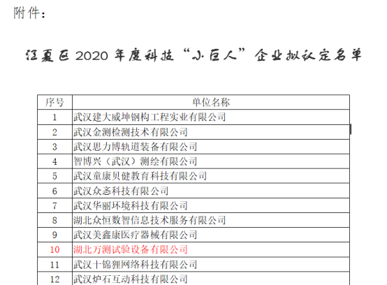 熱烈祝賀湖北萬測順利通過武漢市科技小巨人企業(yè)認定155.png